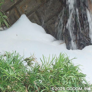 ウナイ  透明な闇 PFAS汚染に立ち向かう